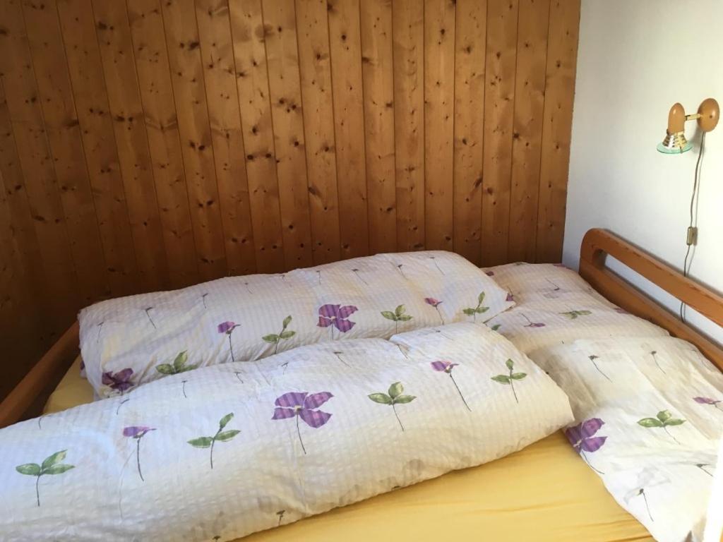 Chalet Marina 阿尔宾内 外观 照片